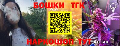МДПВ Гатчина